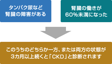 タンパク尿など腎臓の障害がある　腎臓の働きが60％未満になった　このうちのどちらか一方、または両方の状態が3ヶ月以上続くと「CKD」と診断されます