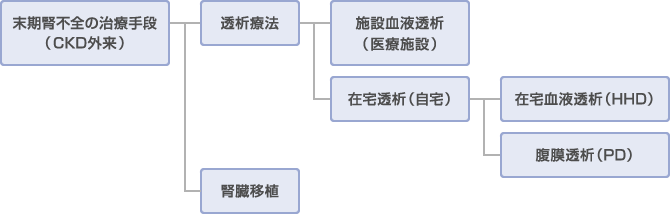 末期腎不全の治療手段